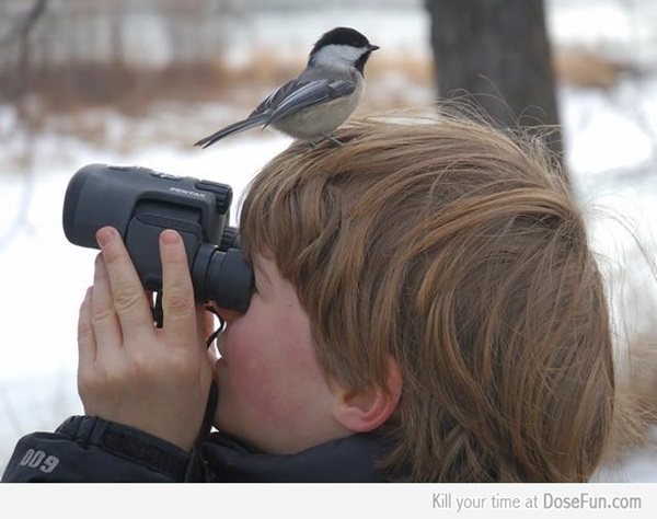 Bird Watching a Hobby Worth Your Time