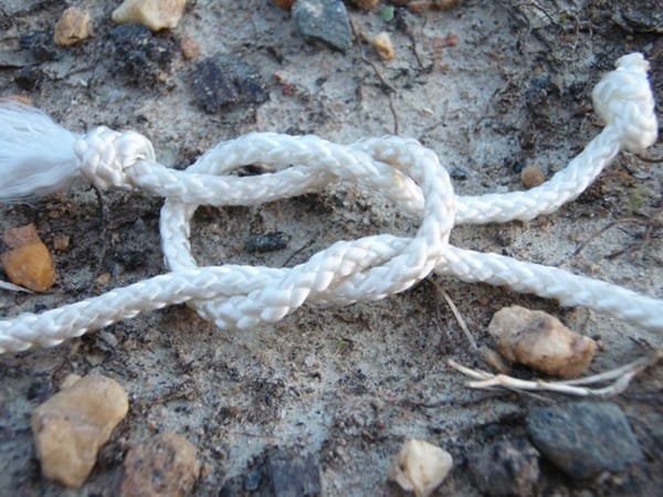 we learn the rope of life by untying its knotes vygotsky