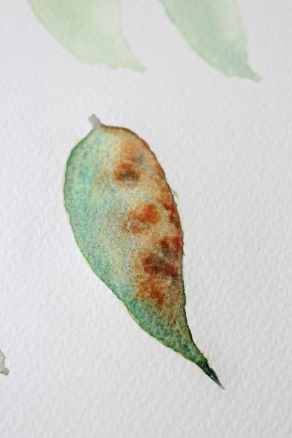 How to Paint a Basic Leaf with Water color 12