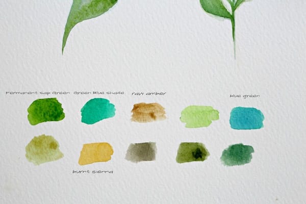 How to Paint a Basic Leaf with Water color 2