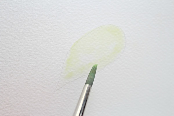 How to Paint a Basic Leaf with Water color 4