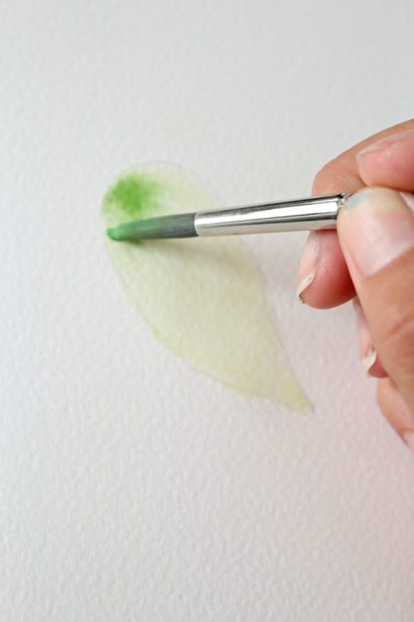 How to Paint a Basic Leaf with Water color 5