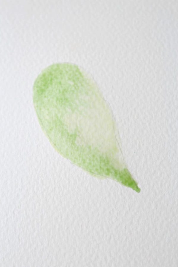 How to Paint a Basic Leaf with Water color 6