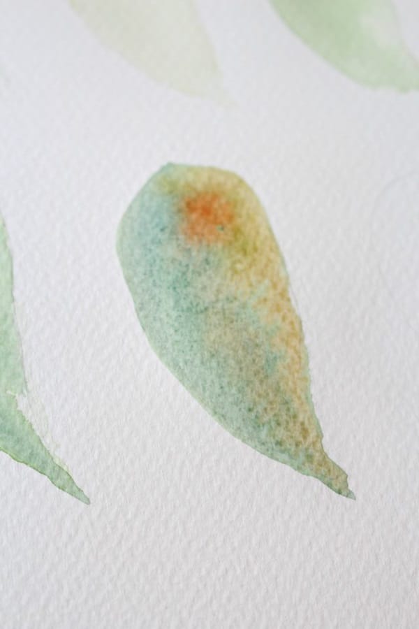 How to Paint a Basic Leaf with Water color 9