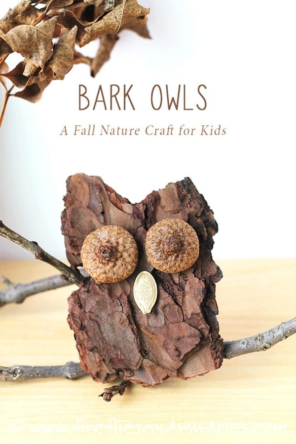 Easy Nature Crafts For Preschoolers