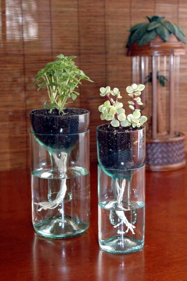 Cool Wine Bottles Craft Ideas (2)