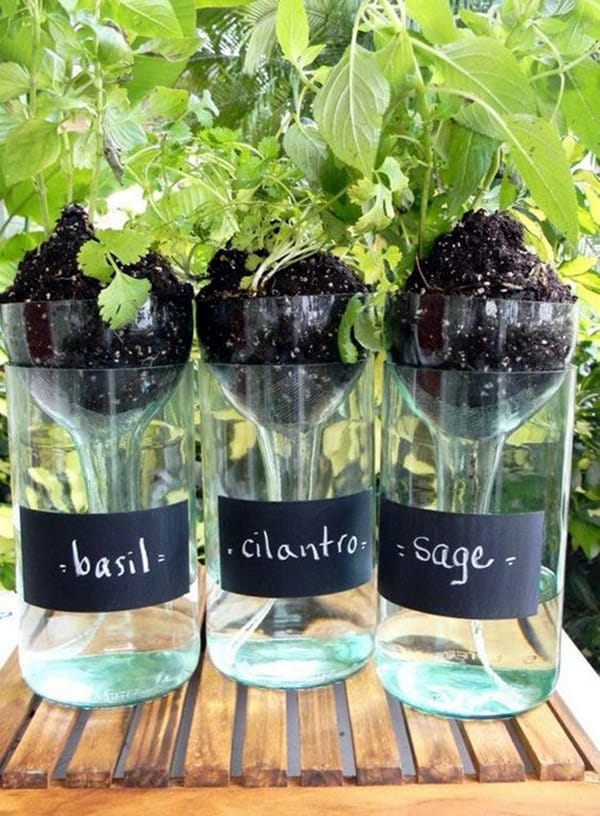 Cool Wine Bottles Craft Ideas (5)