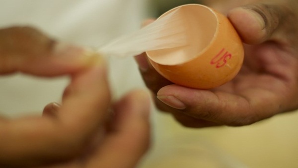 10 Things to do with Eggshells 10