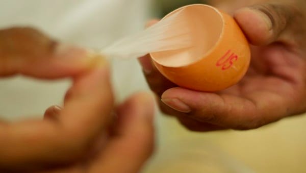 10 Things to do with Eggshells 10