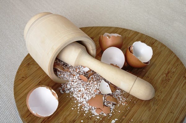 10 Things to do with Eggshells 4