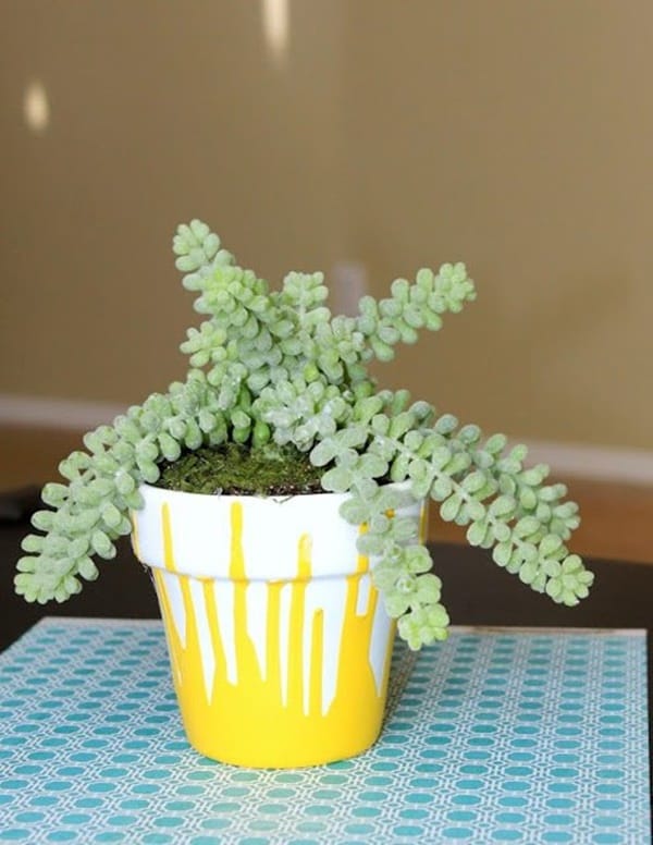 30 Flower Pot Painting Ideas 2