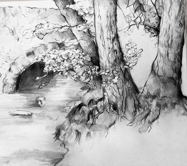 40 Incredible Pencil Drawings of Nature you have never seen before 14