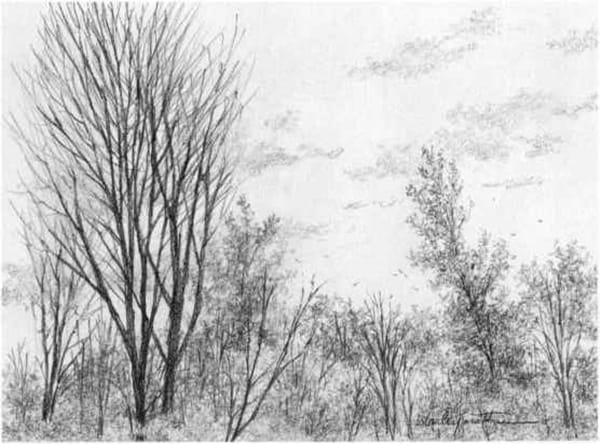 40 Incredible Pencil Drawings of Nature you have never seen before 19