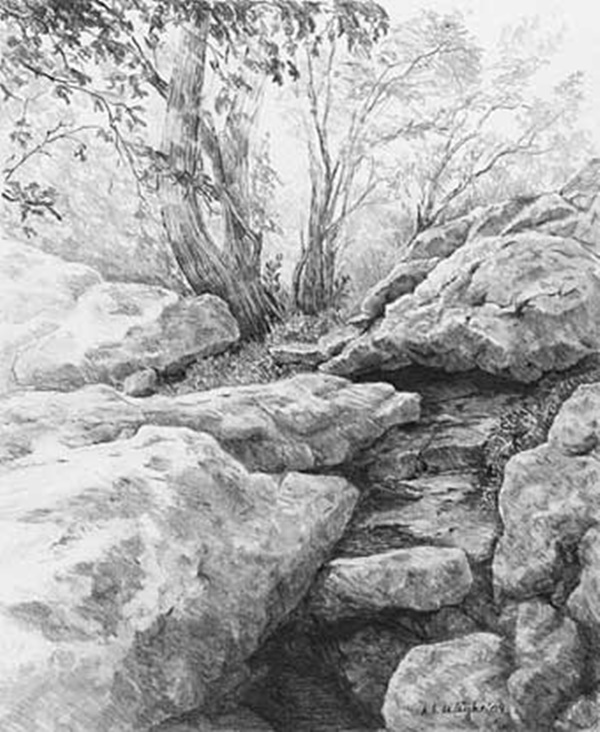 40 Incredible Pencil Drawings of Nature you have never seen before