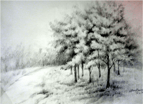 pencil shading nature scenery