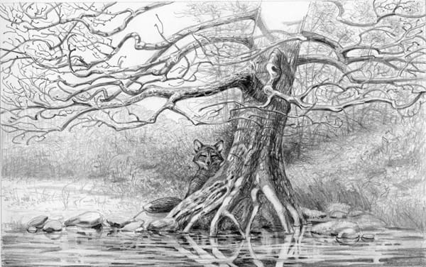 40 Incredible Pencil Drawings of Nature you have never seen before 36