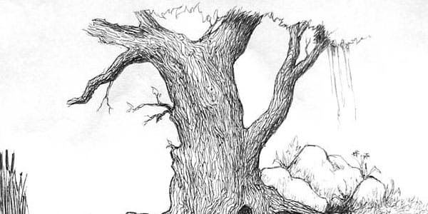 40 Incredible Pencil Drawings of Nature you have never seen before 6