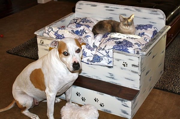 10 Ideas to Reuse Old Furnitures into Pet Beds 1