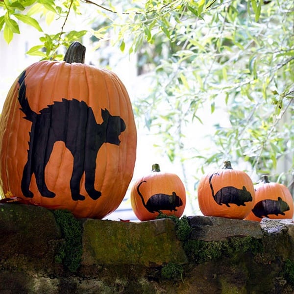 easy cat pumpkin painting