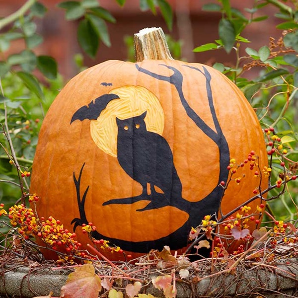 40 Cute and Easy Pumpkin Painting Ideas 4
