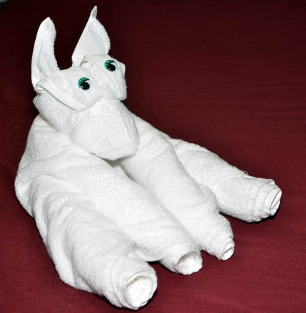 How to Make Towel Animals (10 Creatures to Practice) - Hobby Lesson