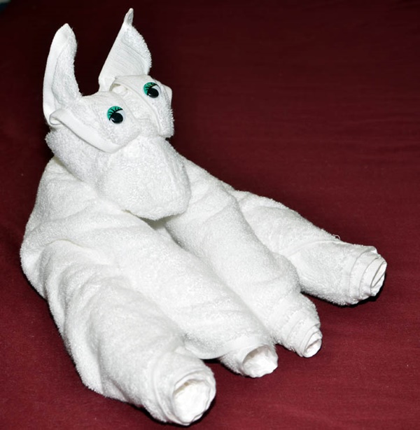 How To Make Towel Animals 10 Creatures To Practice Hobby Lesson