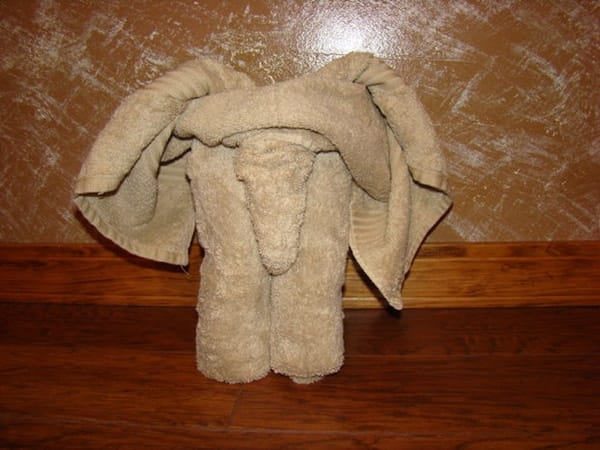 how-to-make-towel-animals-3