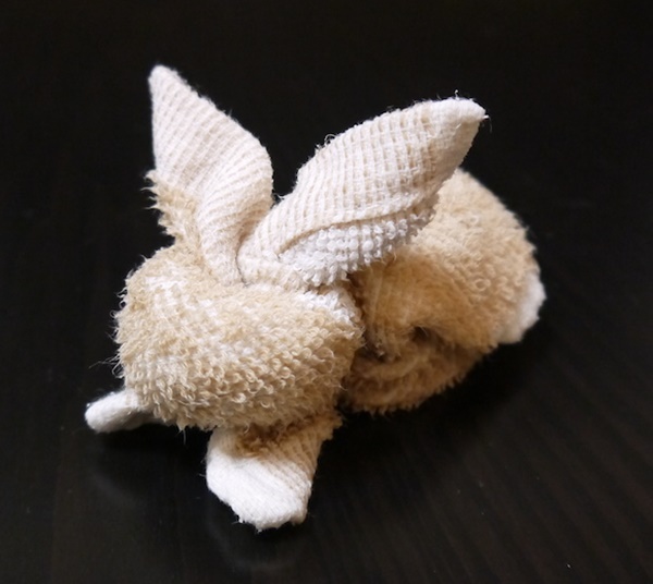 how-to-make-towel-animals-5