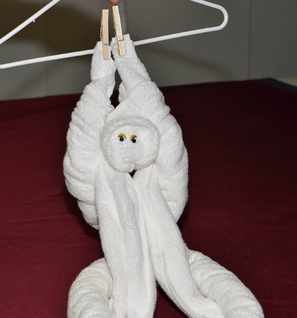 how-to-make-towel-animals-6
