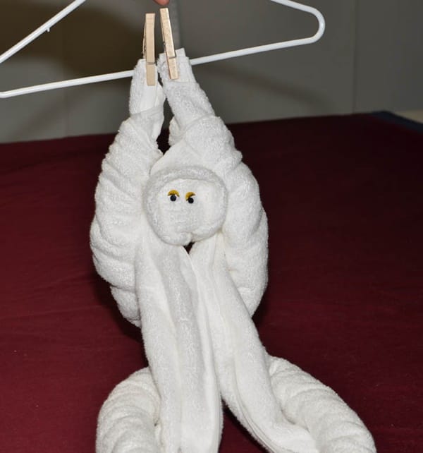 How to Make Towel Animals (10 Creatures to Practice) - Hobby Lesson