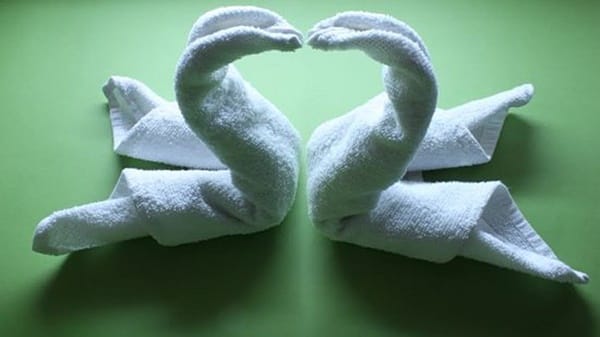 how-to-make-towel-animals-8