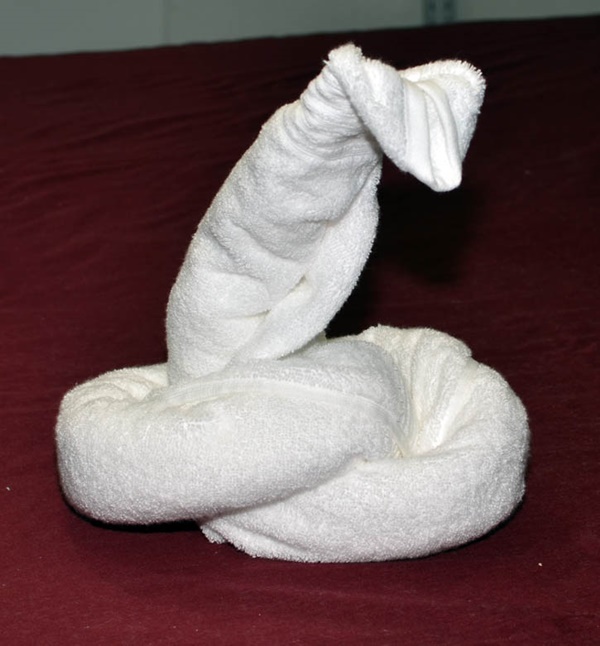 how-to-make-towel-animals-10