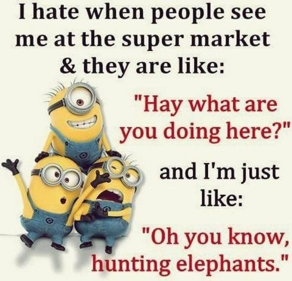 minions funny quotes