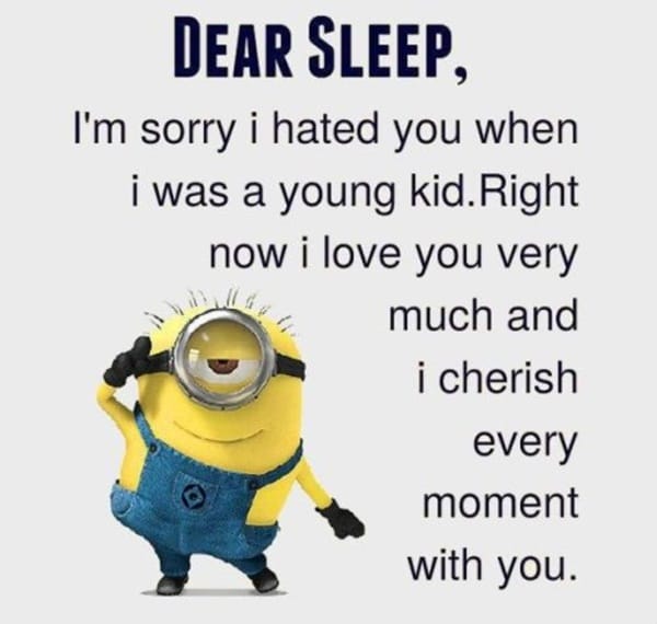 30-funny-minion-quotes-with-pictures-1-10