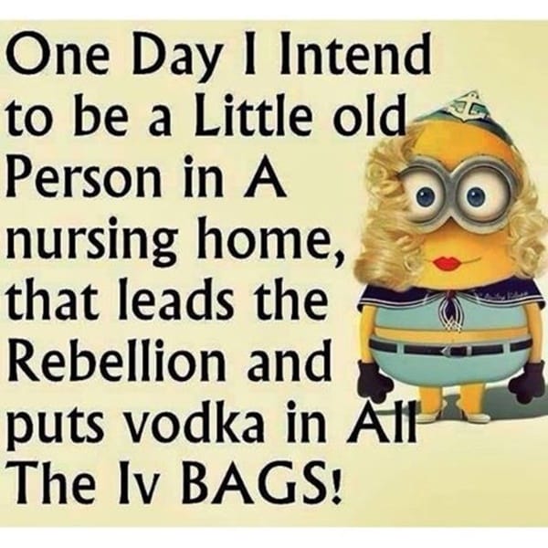 30-funny-minion-quotes-with-pictures-1-15