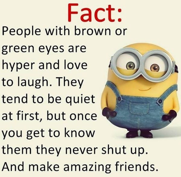 30-funny-minion-quotes-with-pictures-1-17