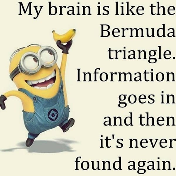 30-funny-minion-quotes-with-pictures-1-18