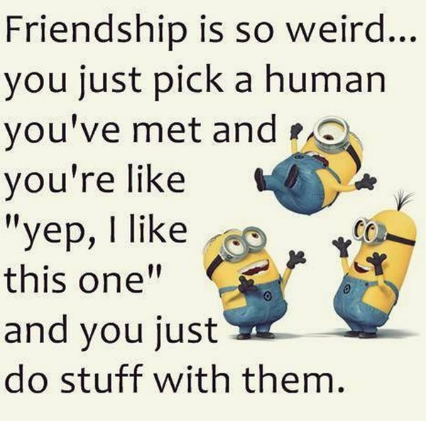 30-funny-minion-quotes-with-pictures-1-19