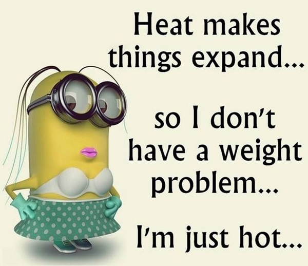30-funny-minion-quotes-with-pictures-1-2
