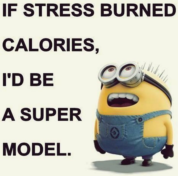 30-funny-minion-quotes-with-pictures-1-21
