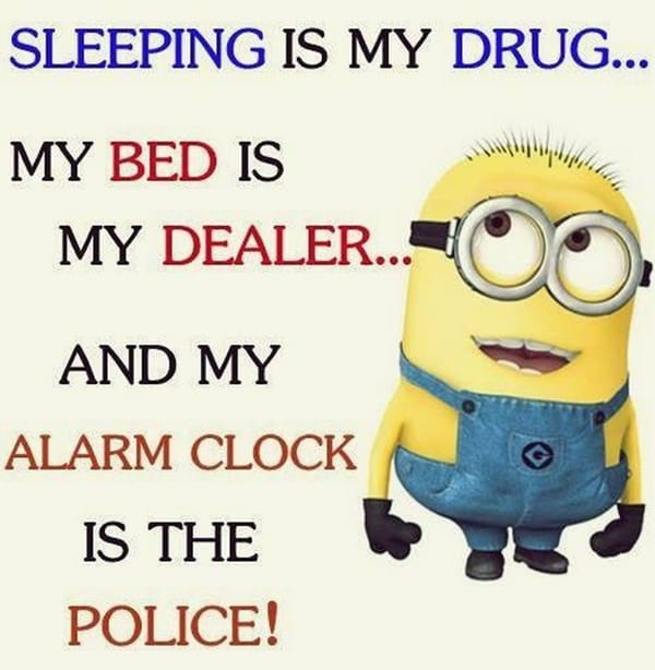 30-funny-minion-quotes-with-pictures-1-22