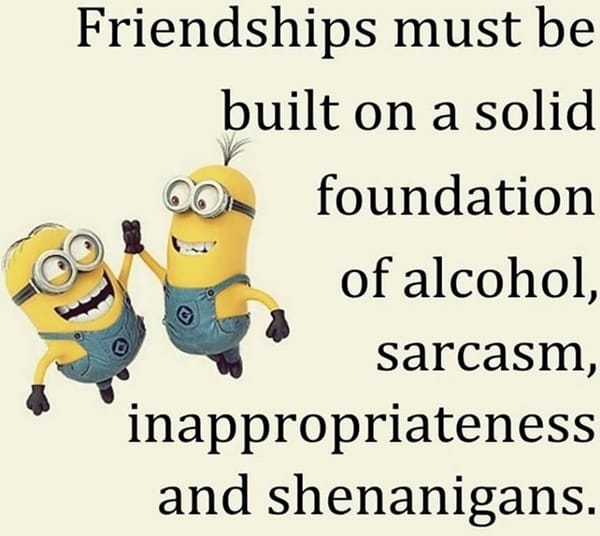 30-funny-minion-quotes-with-pictures-1-23