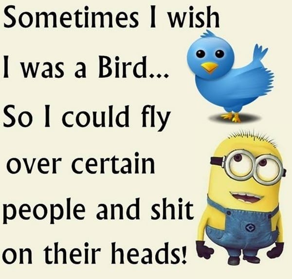 30-funny-minion-quotes-with-pictures-1-24