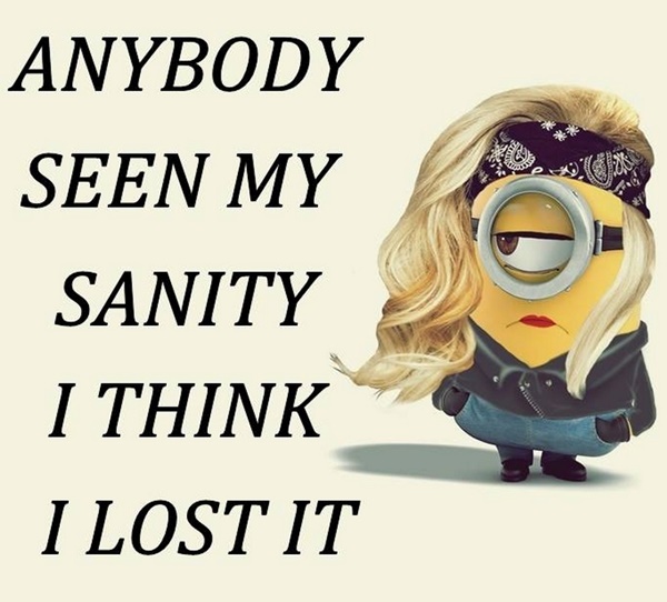 30-funny-minion-quotes-with-pictures-1-26