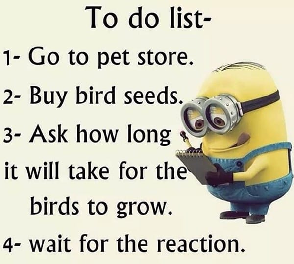 30-funny-minion-quotes-with-pictures-1-30