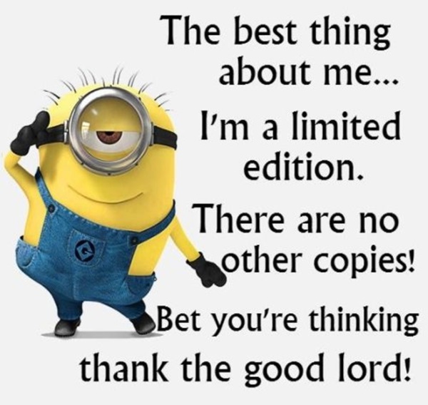 30-funny-minion-quotes-with-pictures-1-5
