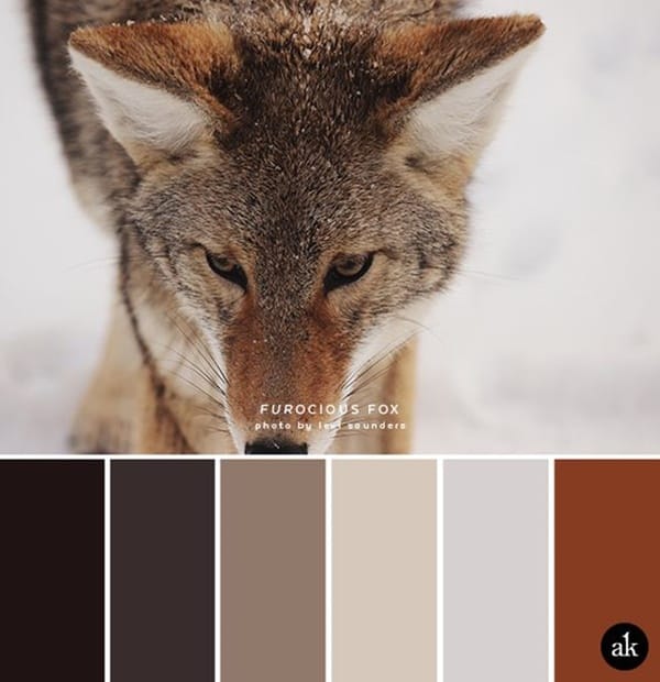 30-receiving-color-palettes-inspired-by-animals-1