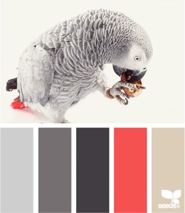 30-receiving-color-palettes-inspired-by-animals-12