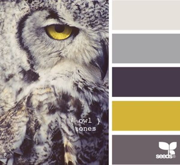 30-receiving-color-palettes-inspired-by-animals-13