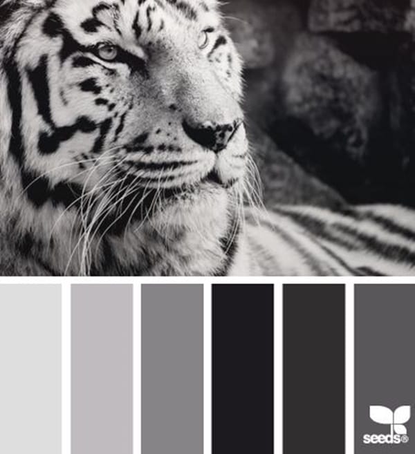 30-receiving-color-palettes-inspired-by-animals-14